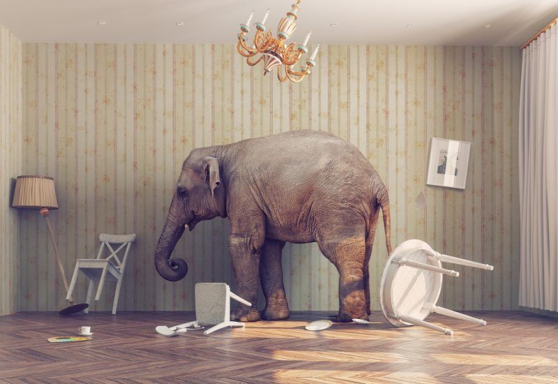 Content and advertising: between trust and clicks