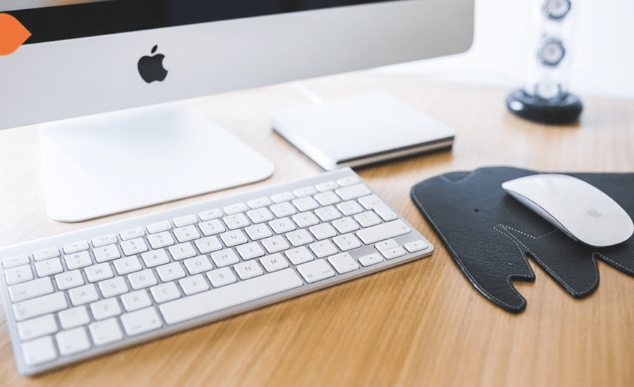 ¿Qué son los Paid, Owned y Earned Media? Y ¿Cuál impulsa más tu ROI?